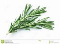 rosemary