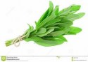 sage